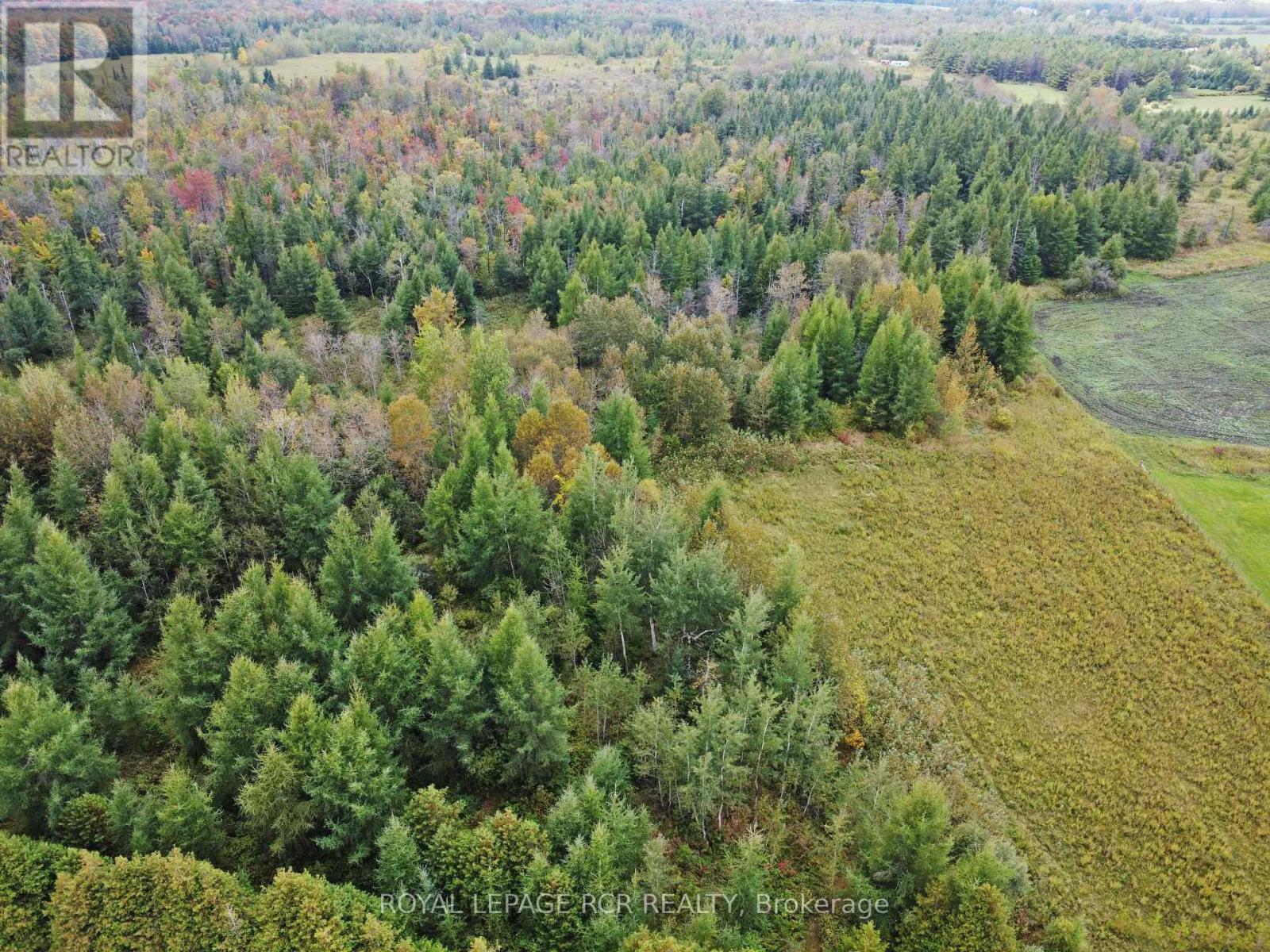 1125xx Grey Road 14 Road, Southgate, Ontario  N0C 1B0 - Photo 4 - X12427580