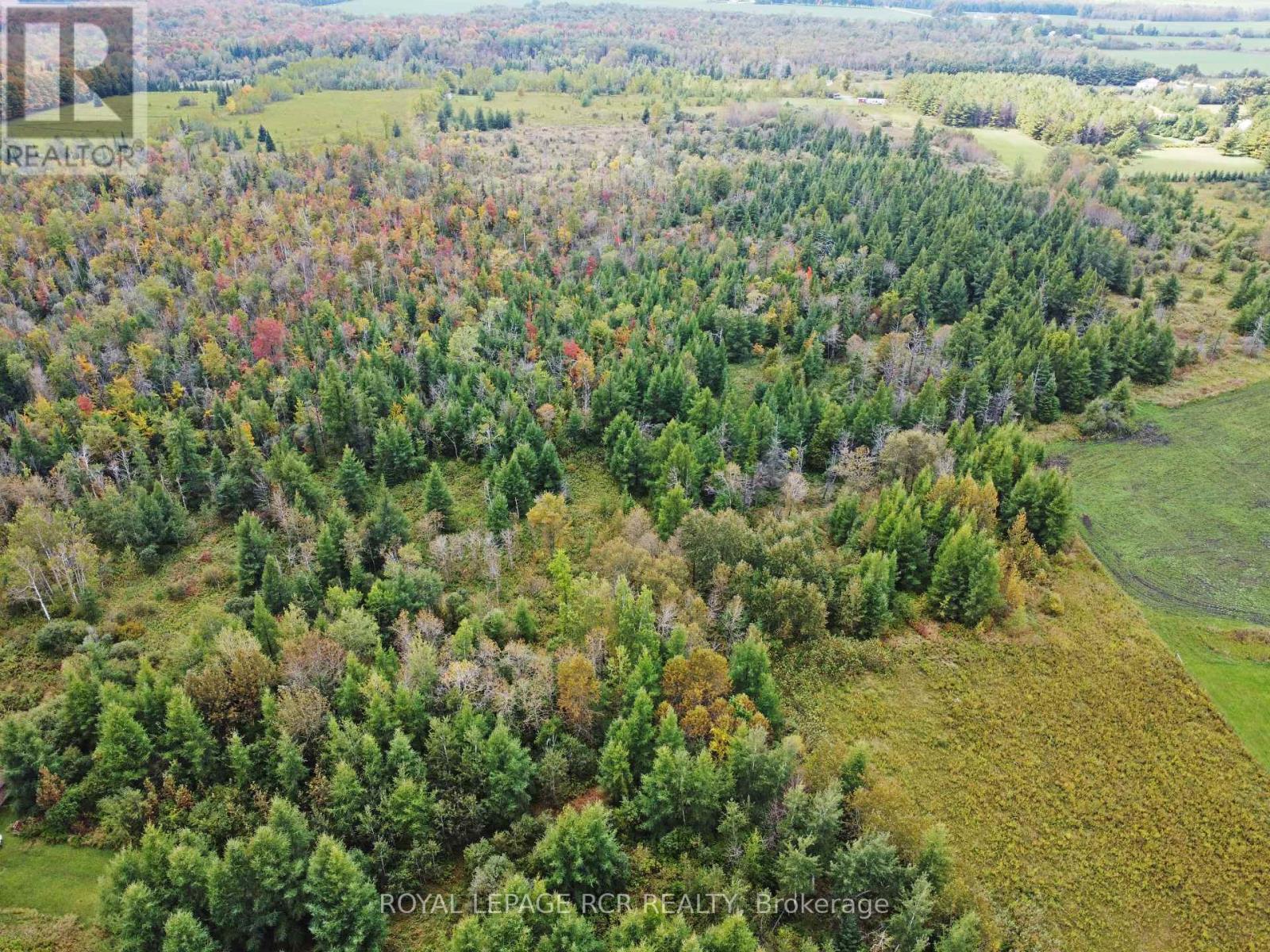 1125xx Grey Road 14 Road, Southgate, Ontario  N0C 1B0 - Photo 5 - X12427580
