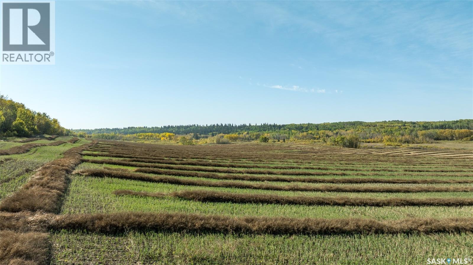 Rm Of Shellbrook Farmland, Shellbrook Rm No. 493, Saskatchewan  S0J 2E0 - Photo 13 - SK019303