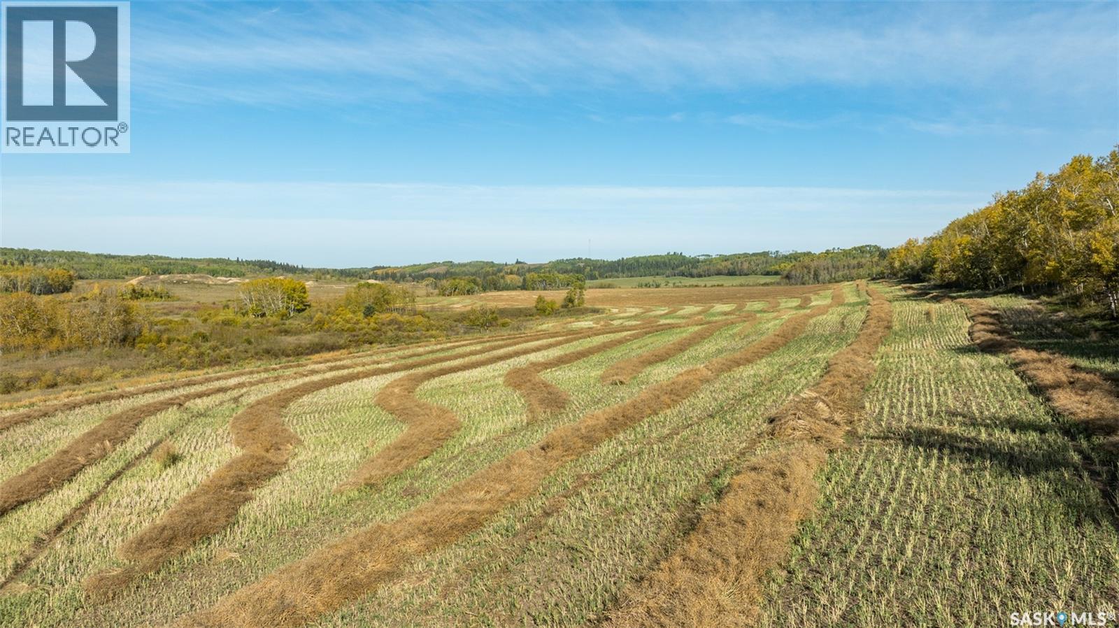 Rm Of Shellbrook Farmland, Shellbrook Rm No. 493, Saskatchewan  S0J 2E0 - Photo 14 - SK019303