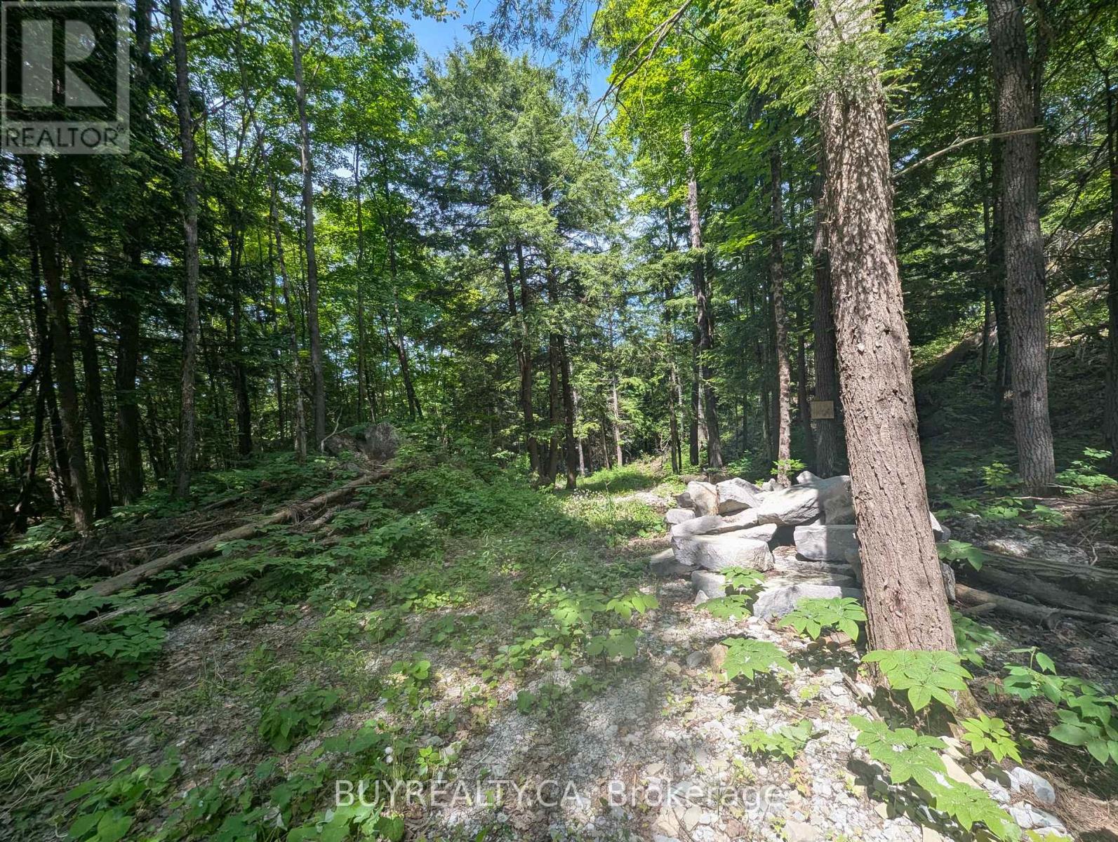 2318 Sherwood Forest Lane, Severn, Ontario  L0K 1E0 - Photo 11 - S12427693