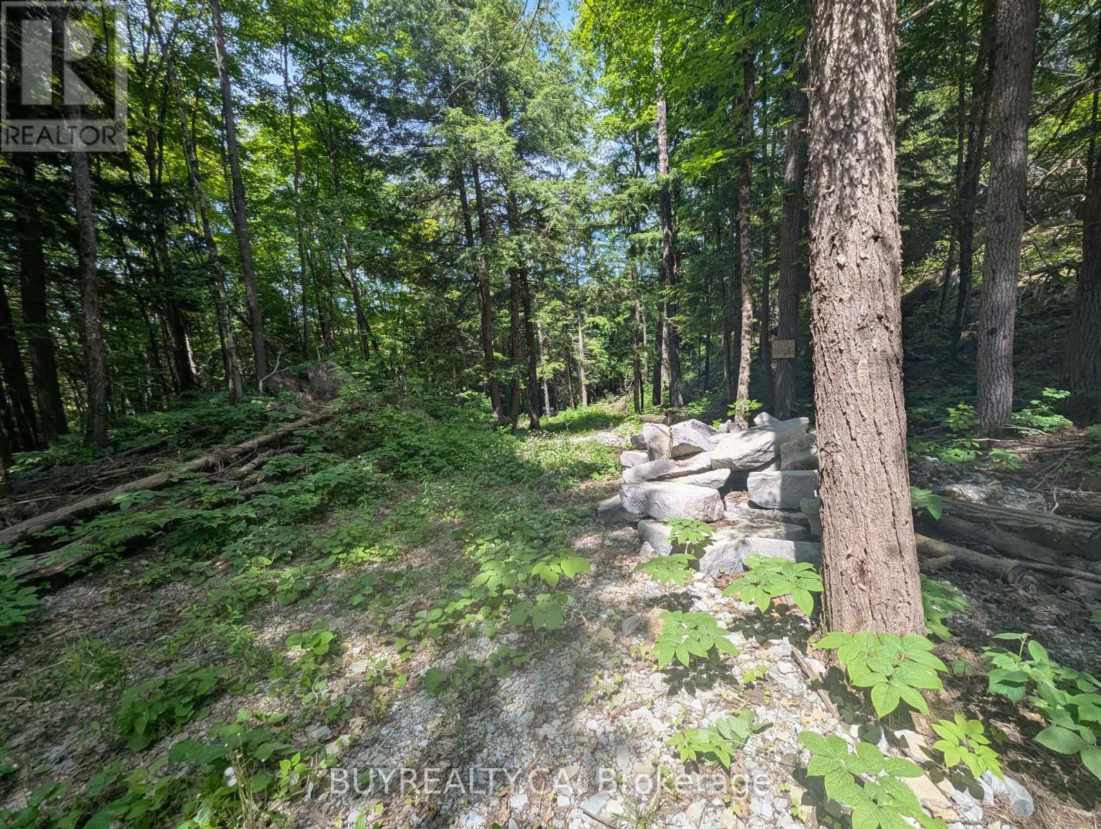 2318 Sherwood Forest Lane, Severn, Ontario  L0K 1E0 - Photo 13 - S12427693