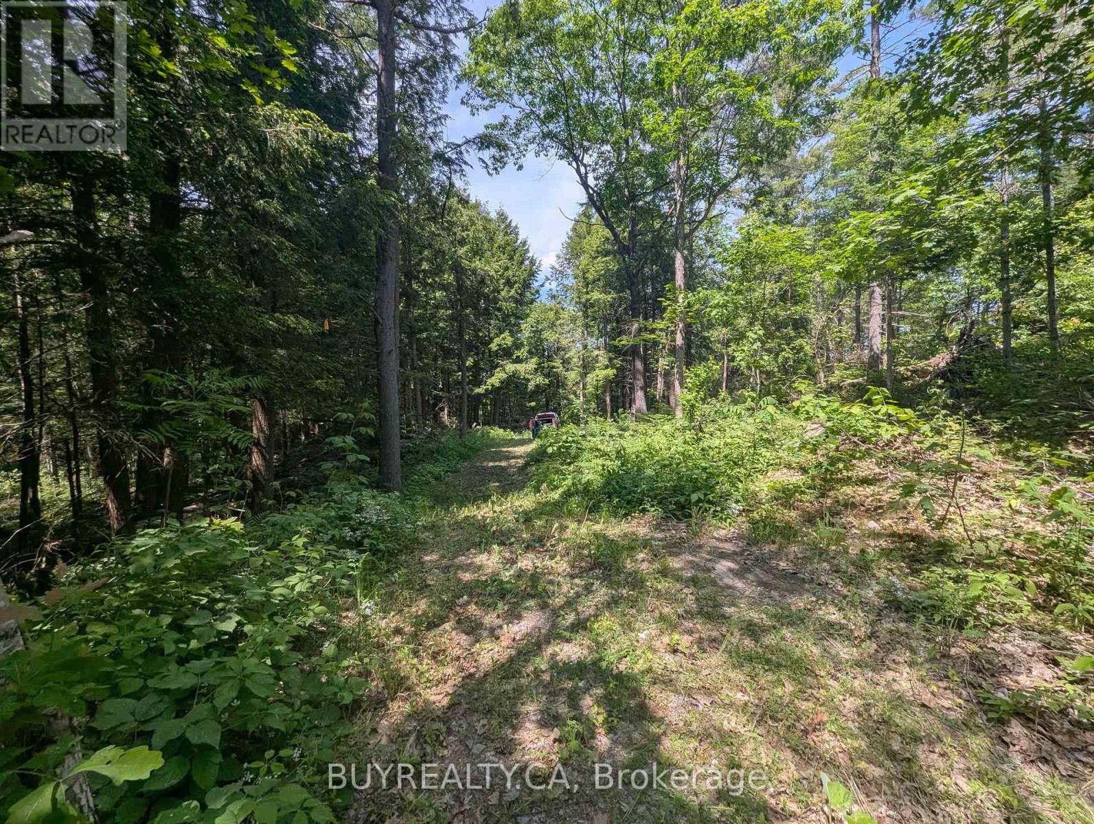 2318 Sherwood Forest Lane, Severn, Ontario  L0K 1E0 - Photo 14 - S12427693