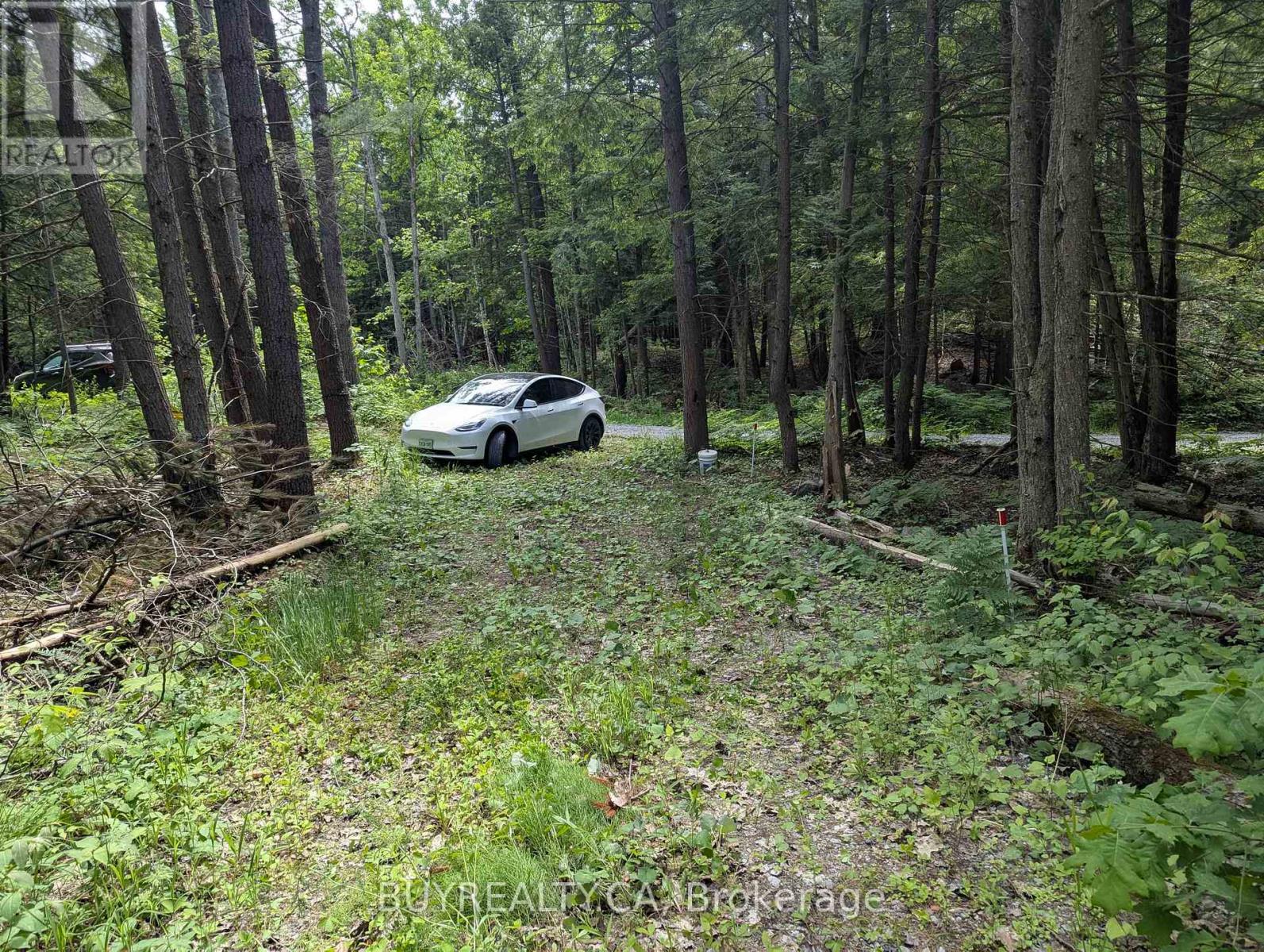 2318 Sherwood Forest Lane, Severn, Ontario  L0K 1E0 - Photo 15 - S12427693