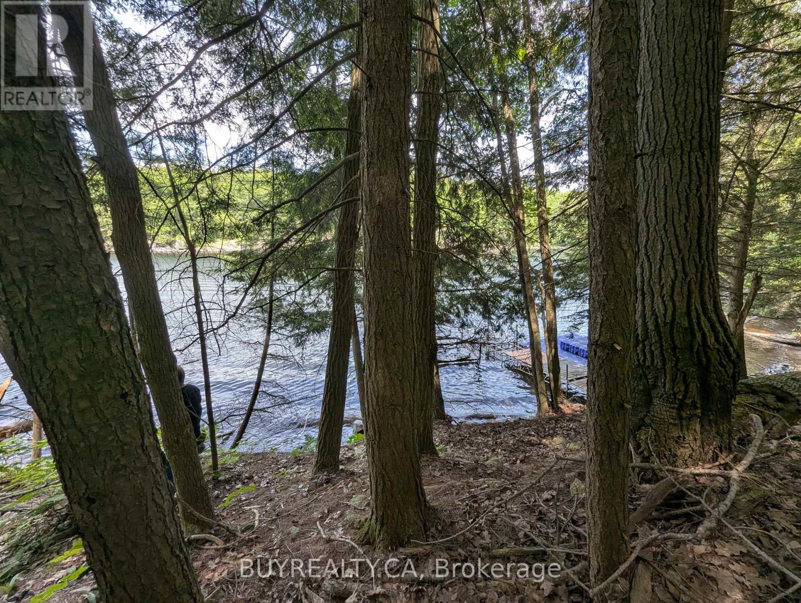 2318 Sherwood Forest Lane, Severn, Ontario  L0K 1E0 - Photo 17 - S12427693