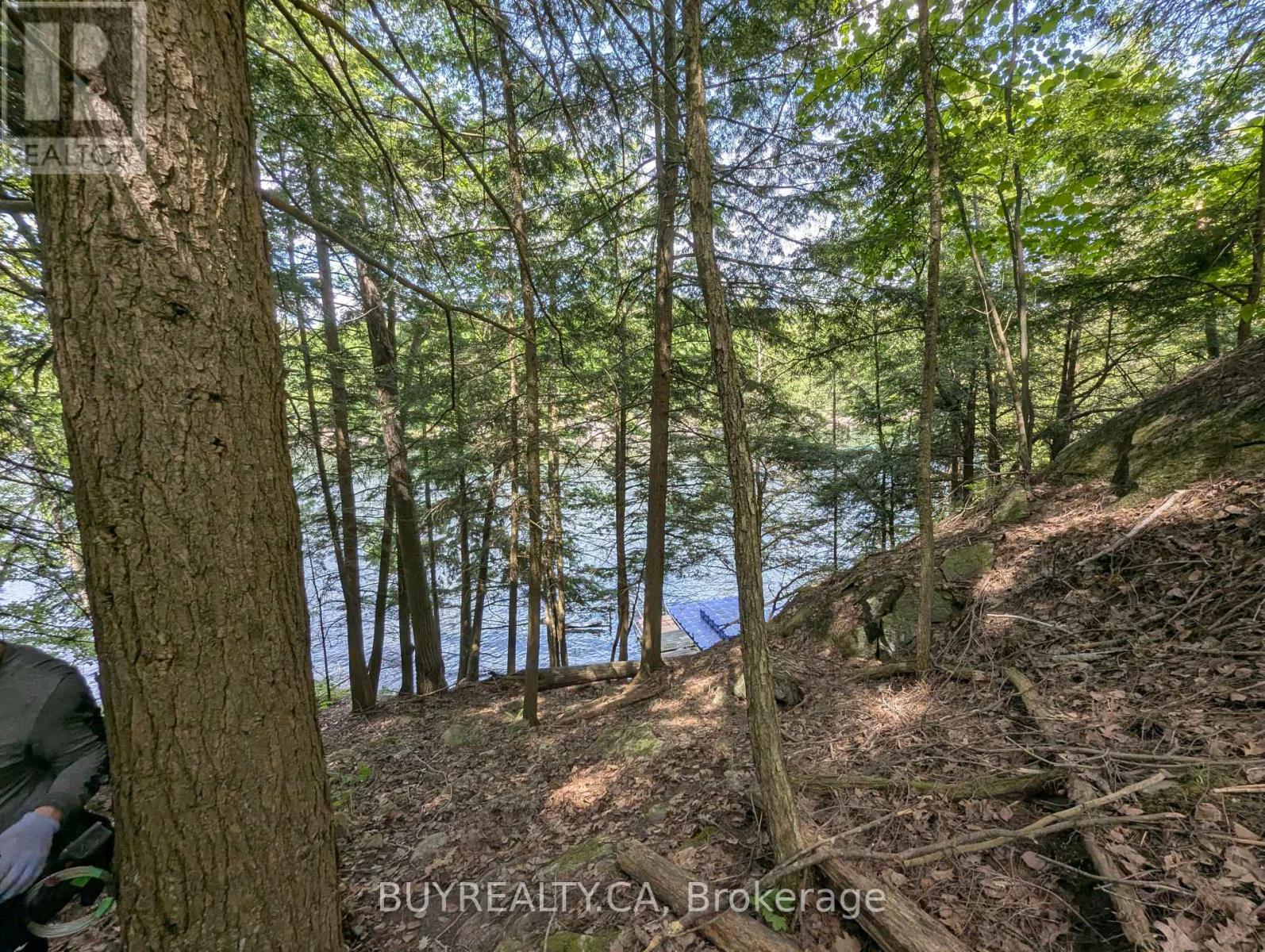 2318 Sherwood Forest Lane, Severn, Ontario  L0K 1E0 - Photo 18 - S12427693