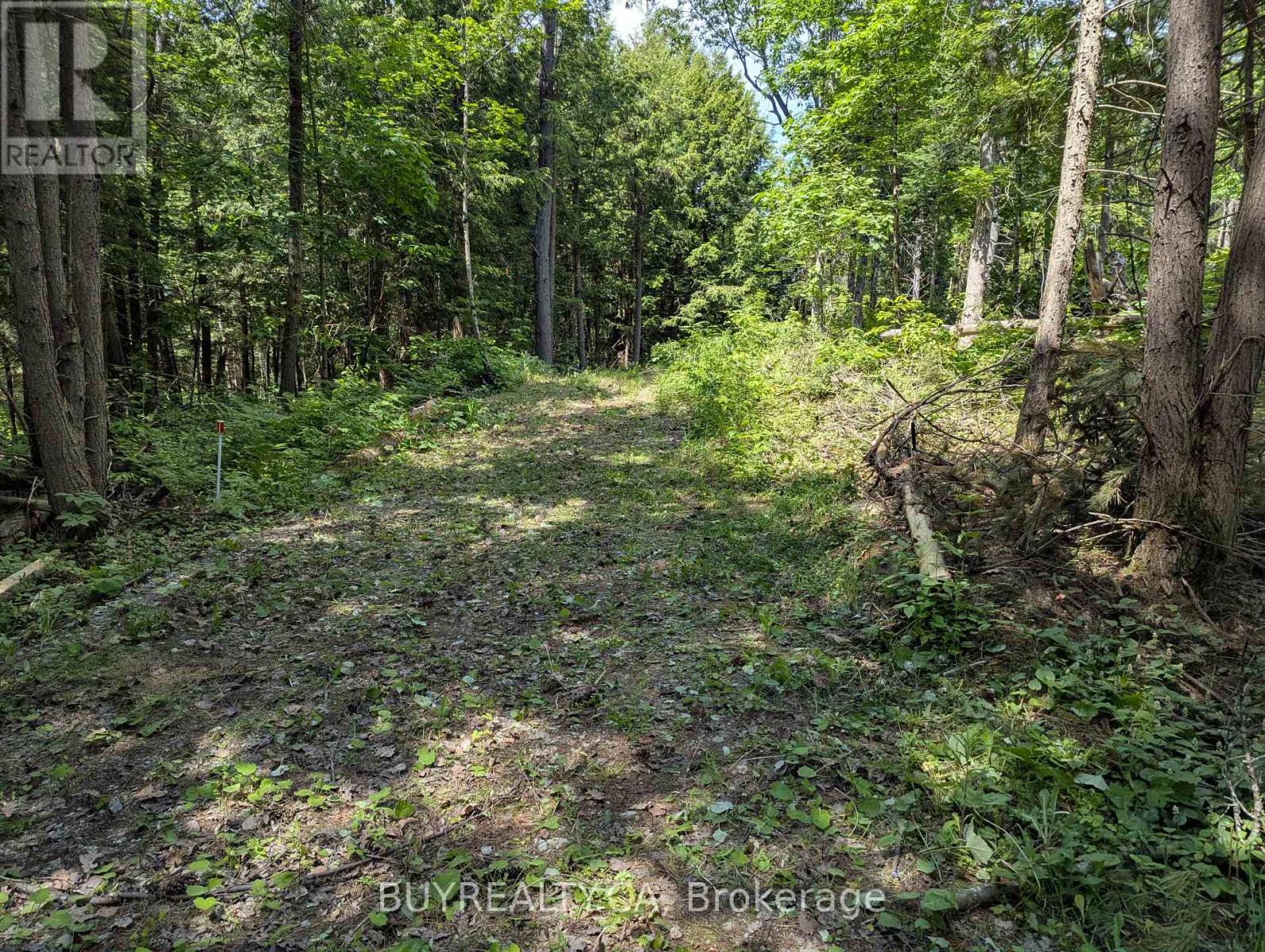 2318 Sherwood Forest Lane, Severn, Ontario  L0K 1E0 - Photo 2 - S12427693