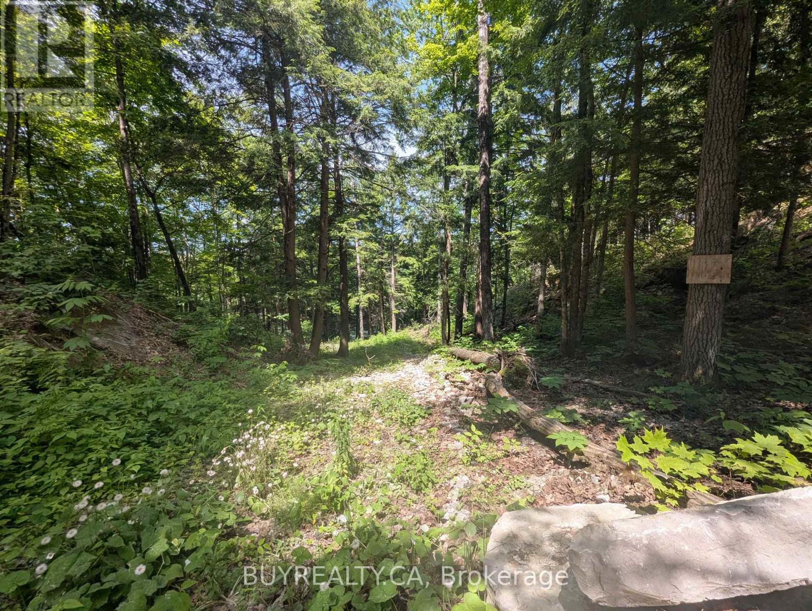 2318 Sherwood Forest Lane, Severn, Ontario  L0K 1E0 - Photo 4 - S12427693