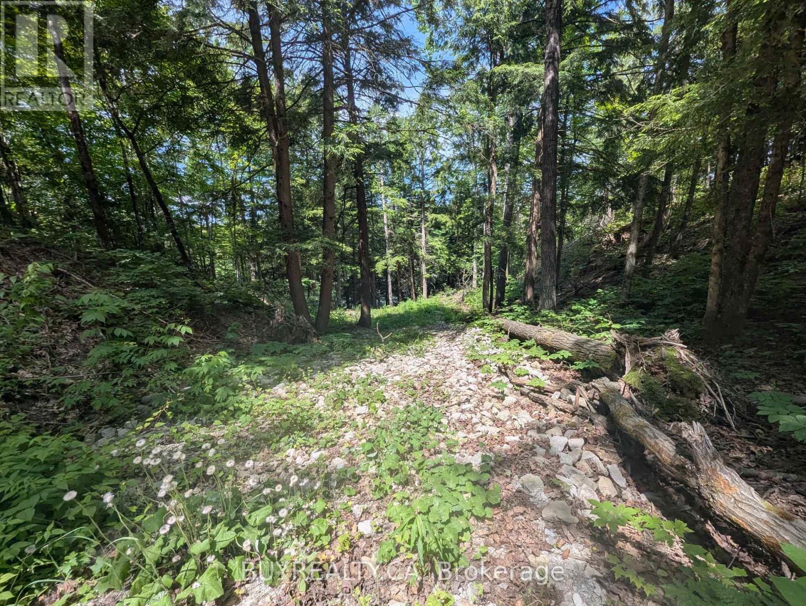 2318 Sherwood Forest Lane, Severn, Ontario  L0K 1E0 - Photo 6 - S12427693