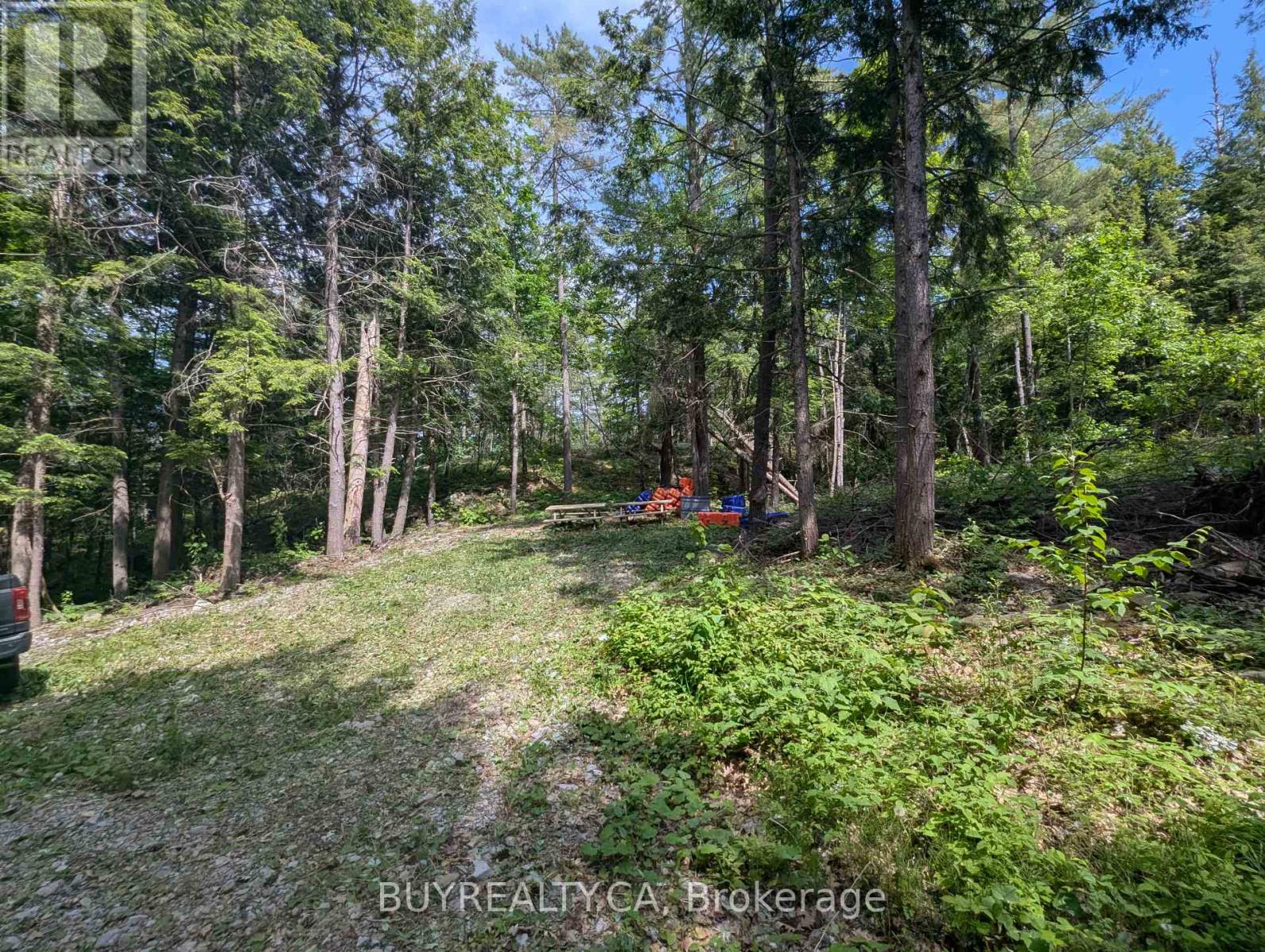 2318 Sherwood Forest Lane, Severn, Ontario  L0K 1E0 - Photo 8 - S12427693