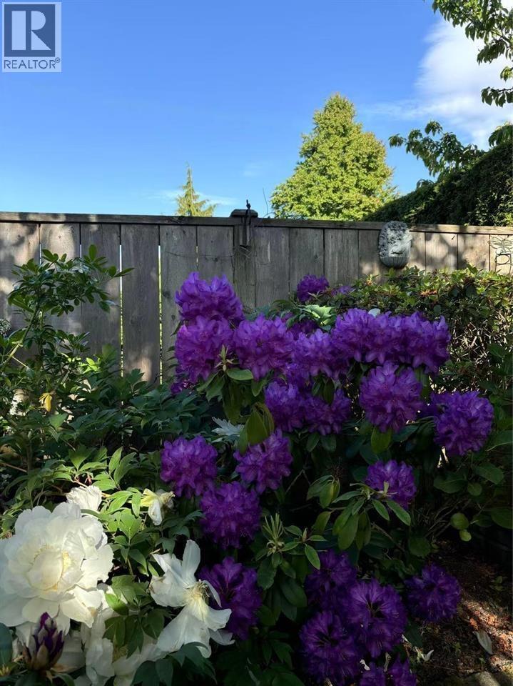 10660 Canso Crescent, Richmond, British Columbia  V7E 5B9 - Photo 30 - R3052493