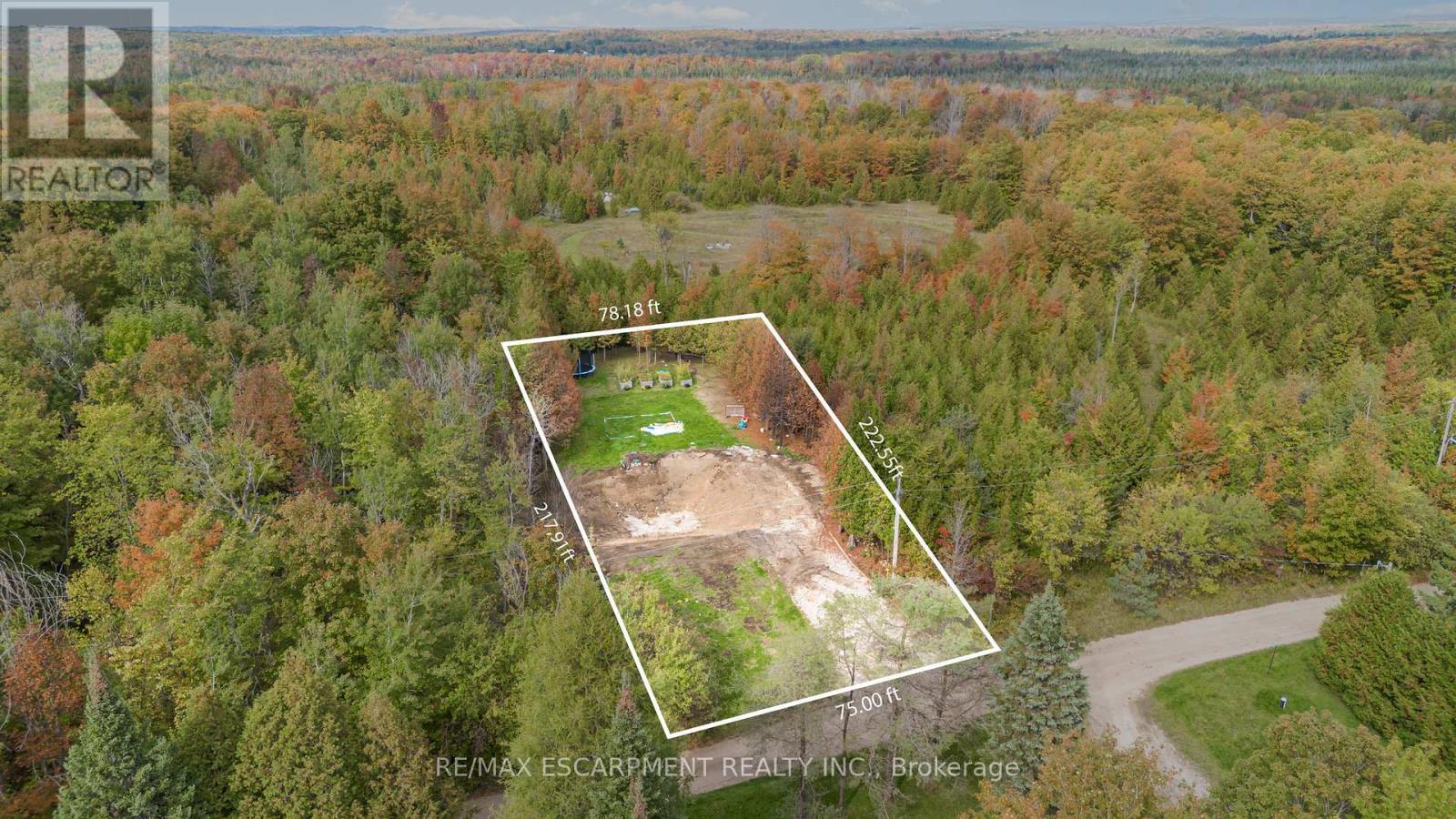 135 Sir Williams Lane, Grey Highlands, Ontario  N0C 1E0 - Photo 4 - X12427804