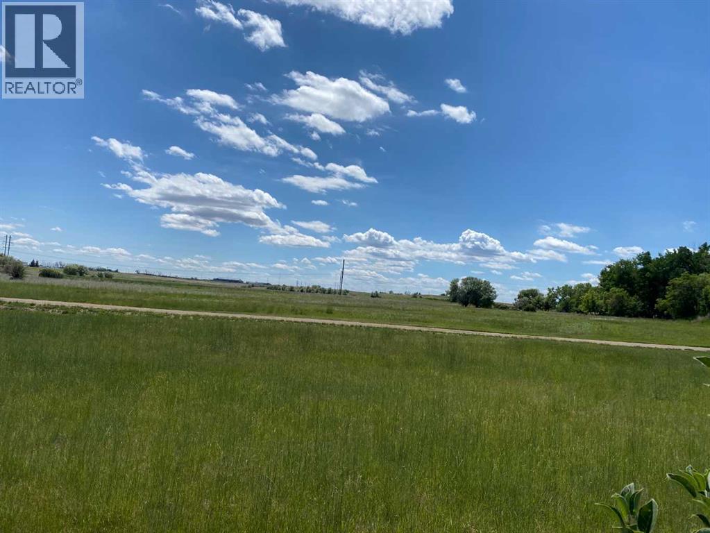 99 Wildrose Avenue W, Brooks, Alberta  T1R 0A7 - Photo 16 - A2237888