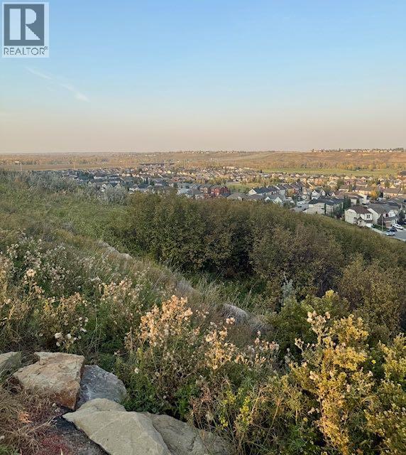 398 Chaparral Ridge Circle Se, Calgary, Alberta  T2X 3Y1 - Photo 48 - A2257329