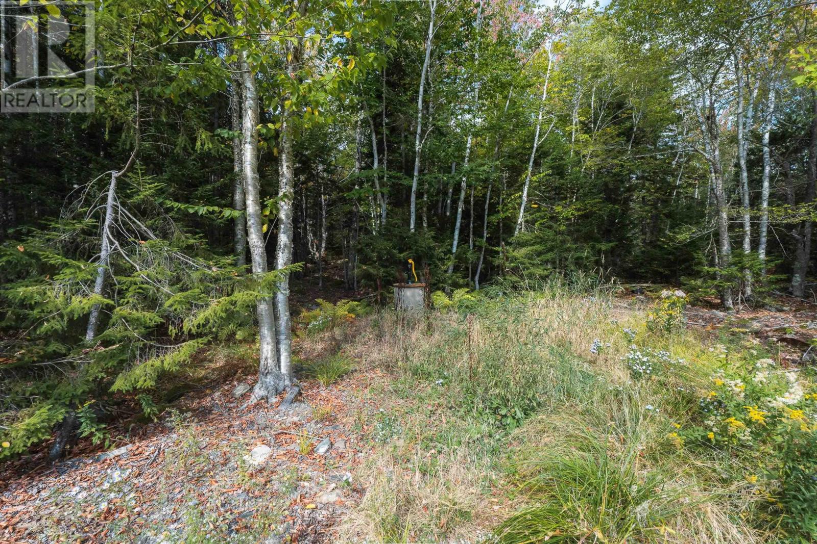 421 Lake Drive, Tupper Lake, Nova Scotia  B0P 1G0 - Photo 10 - 202524391