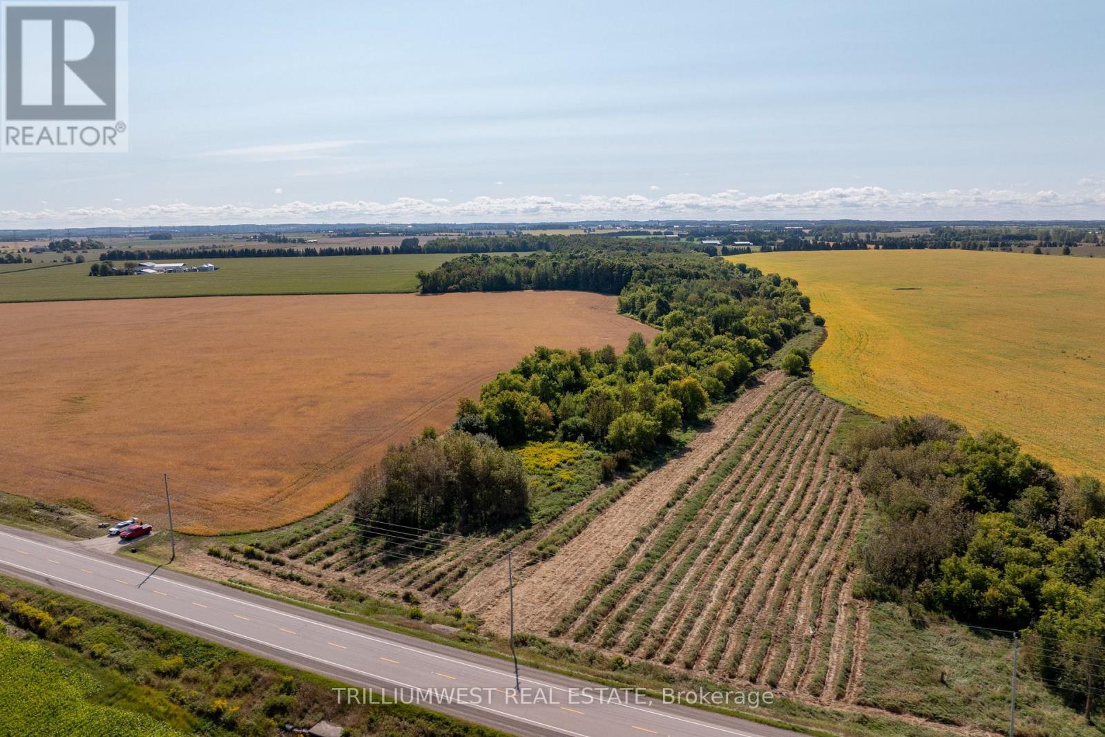 201340 Dufferin Road 109 Road, East Garafraxa, Ontario  L9W 7A9 - Photo 15 - X12427943