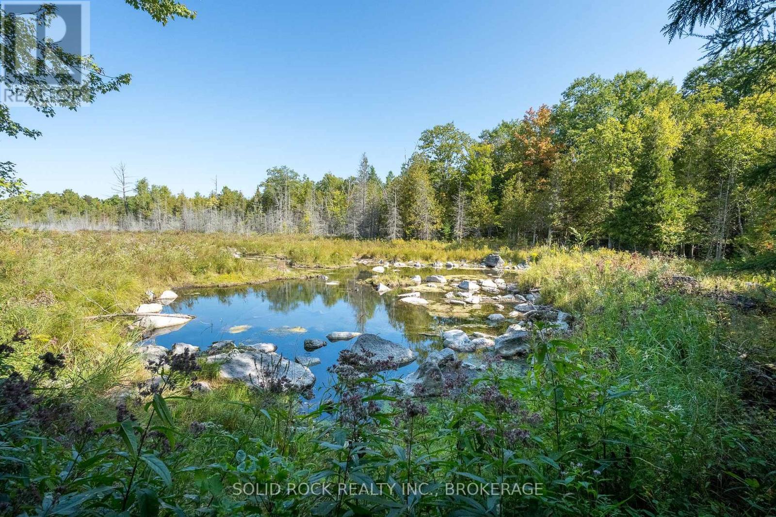108 Queen Street, Tweed, Ontario  K0L 2L0 - Photo 41 - X12427991
