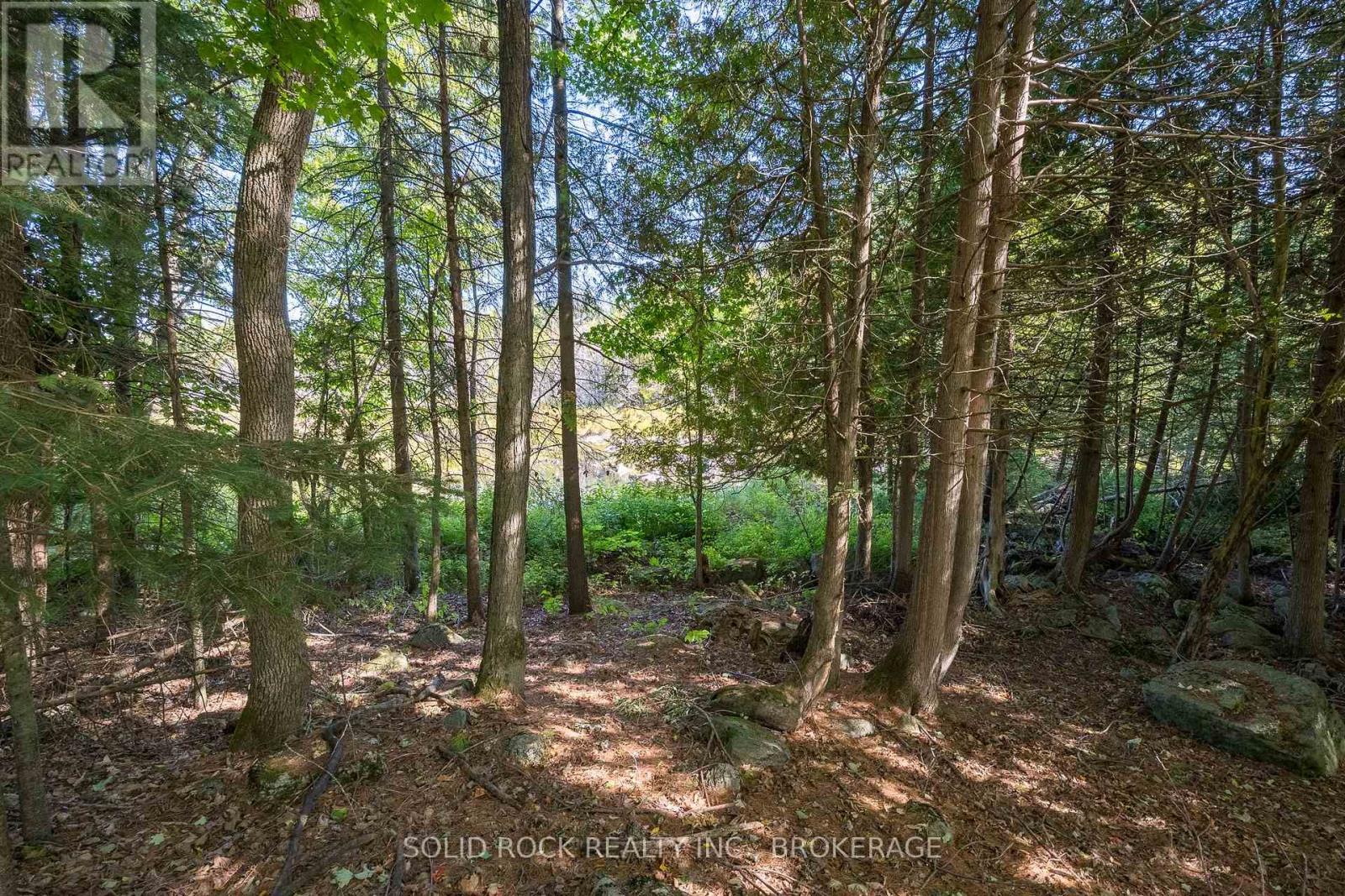 108 Queen Street, Tweed, Ontario  K0L 2L0 - Photo 42 - X12427991