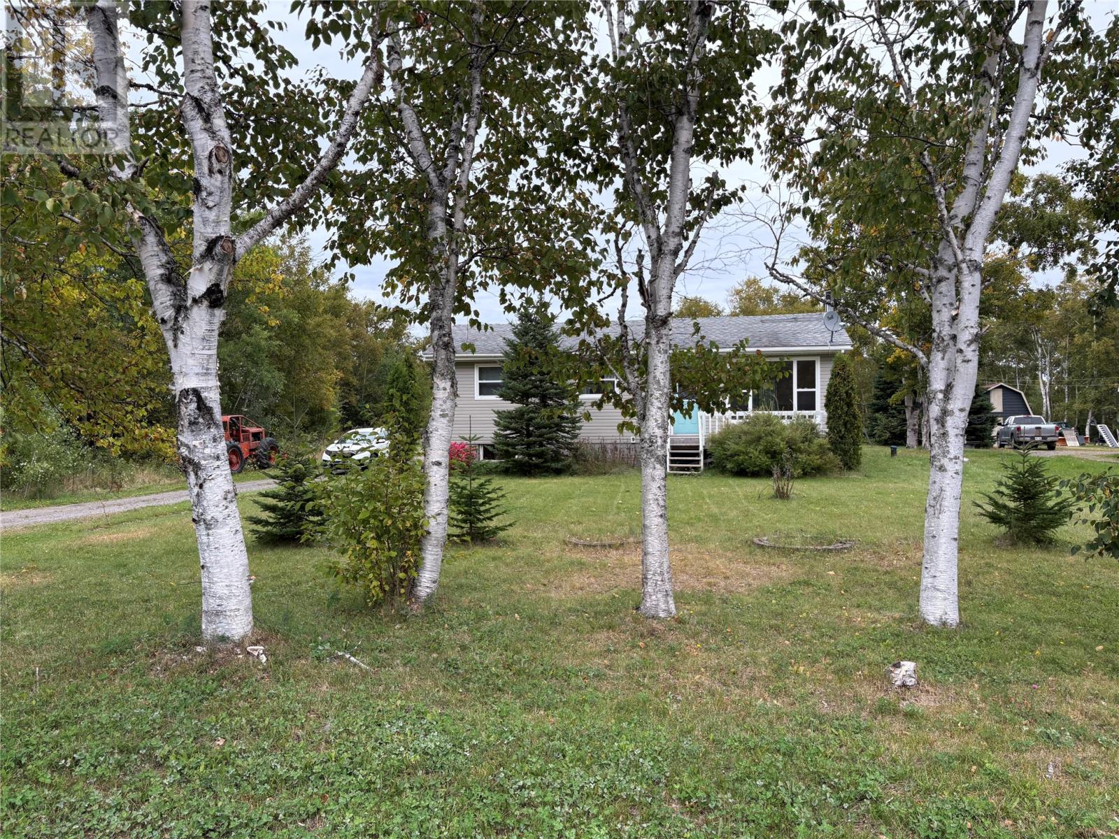 20 Trail Avenue, Brown's Arm, Newfoundland & Labrador  A0G 3A0 - Photo 3 - 1290827