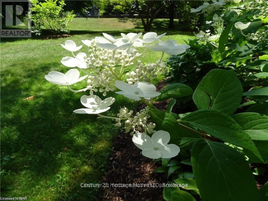 103b - 200 Hwy 20 W Road, Pelham (Fonthill), Ontario  L3E 0V7 - Photo 39 - X12427996