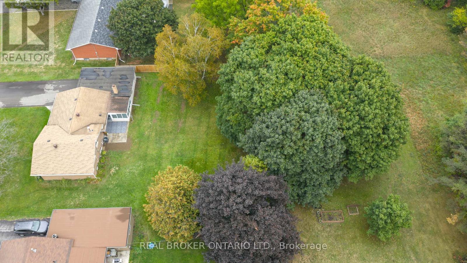 17 Locke Avenue, Clearview, Ontario  L0M 1S0 - Photo 35 - S12427999