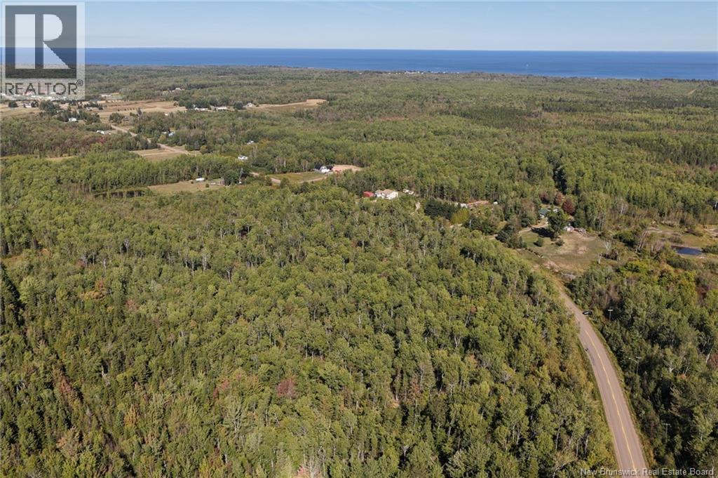 Lot 1 Route 530, Grande-Digue, New Brunswick  E4R 5P8 - Photo 8 - NB126817