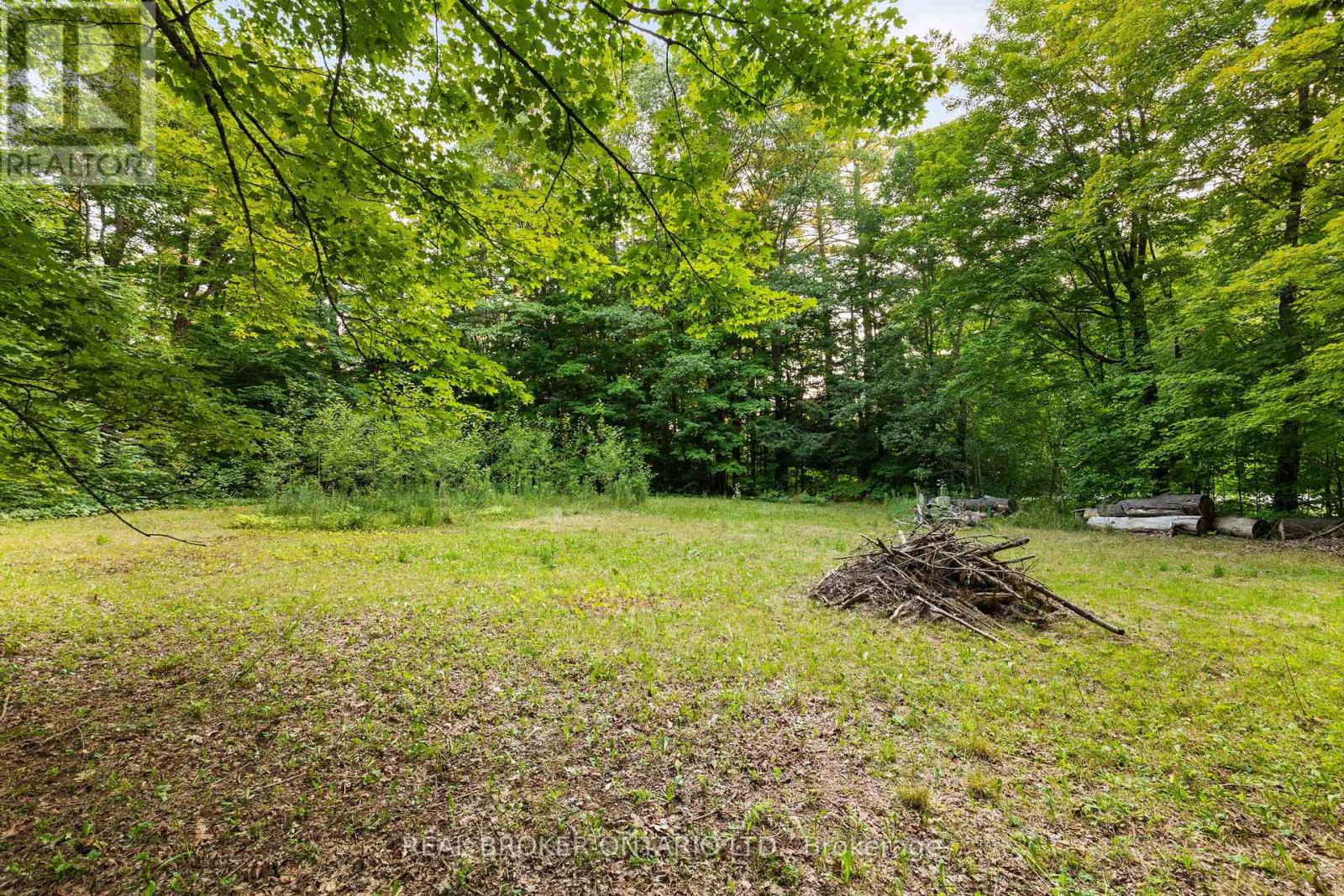 1401 Coopers Falls Road, Ramara, Ontario  L0K 2B0 - Photo 15 - S12428057