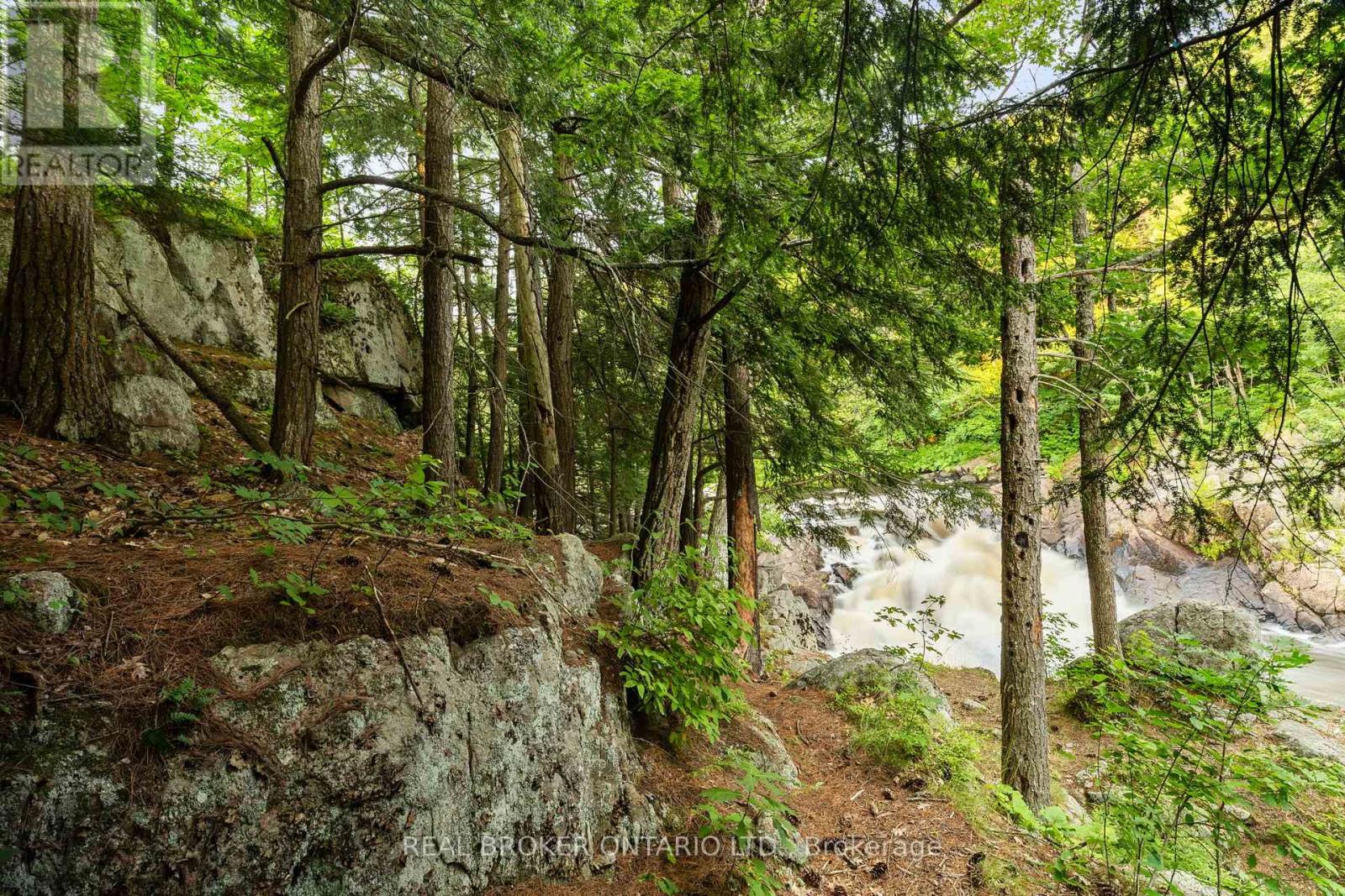 1401 Coopers Falls Road, Ramara, Ontario  L0K 2B0 - Photo 8 - S12428057