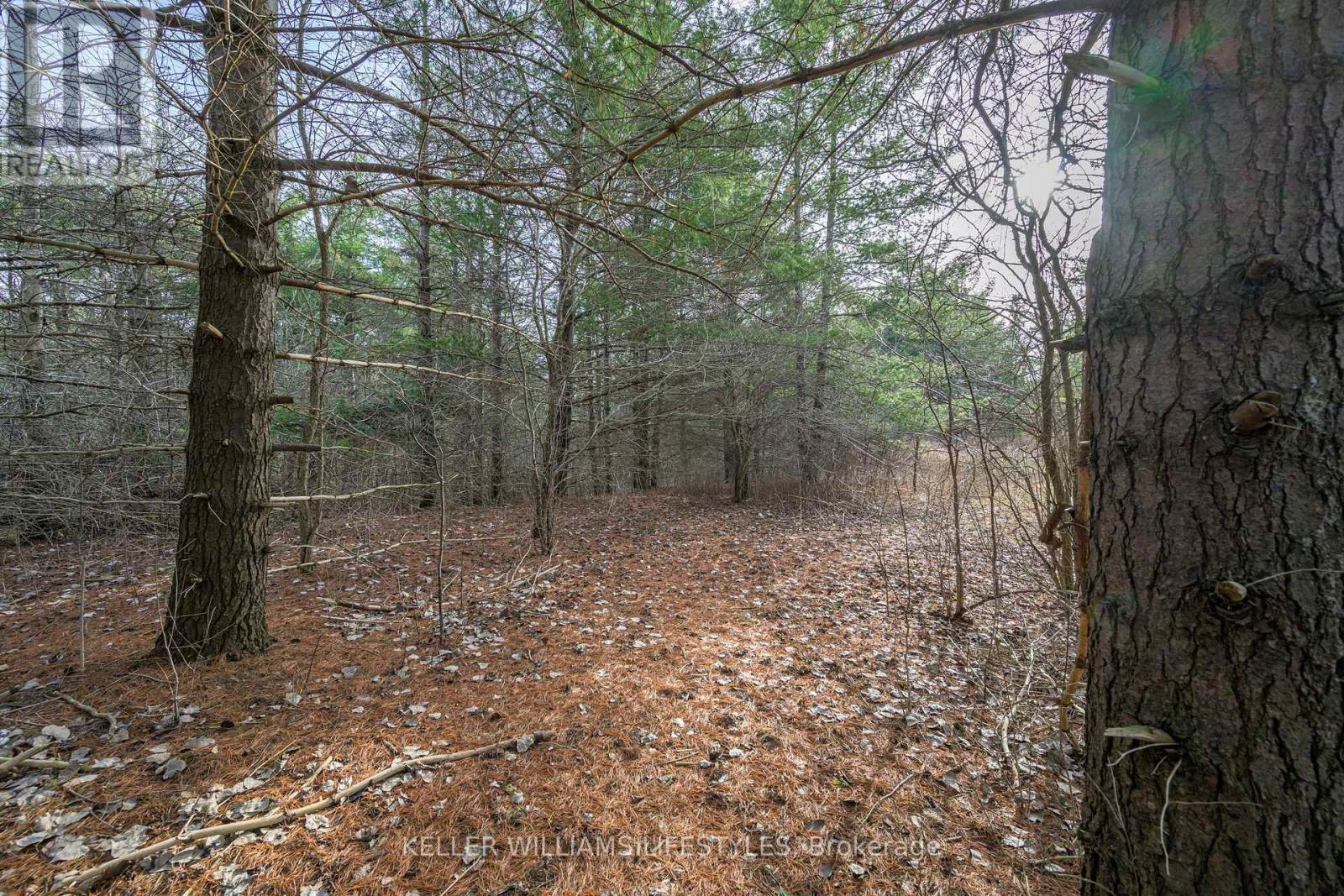A22 - 4838 Switzer Drive, Southwest Middlesex, Ontario  N0L 1A0 - Photo 15 - X12428127