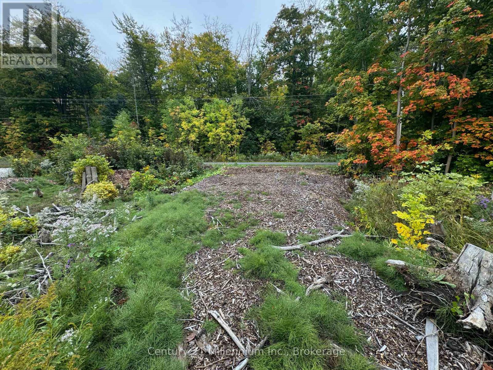 Lot 13 Old 26 Highway, Meaford, Ontario  N4L 1W7 - Photo 4 - X12428172