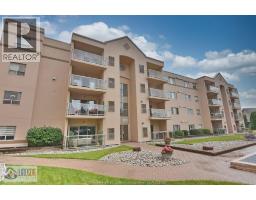 320 VILLAGE GROVE Unit# 206, Tecumseh, Ontario