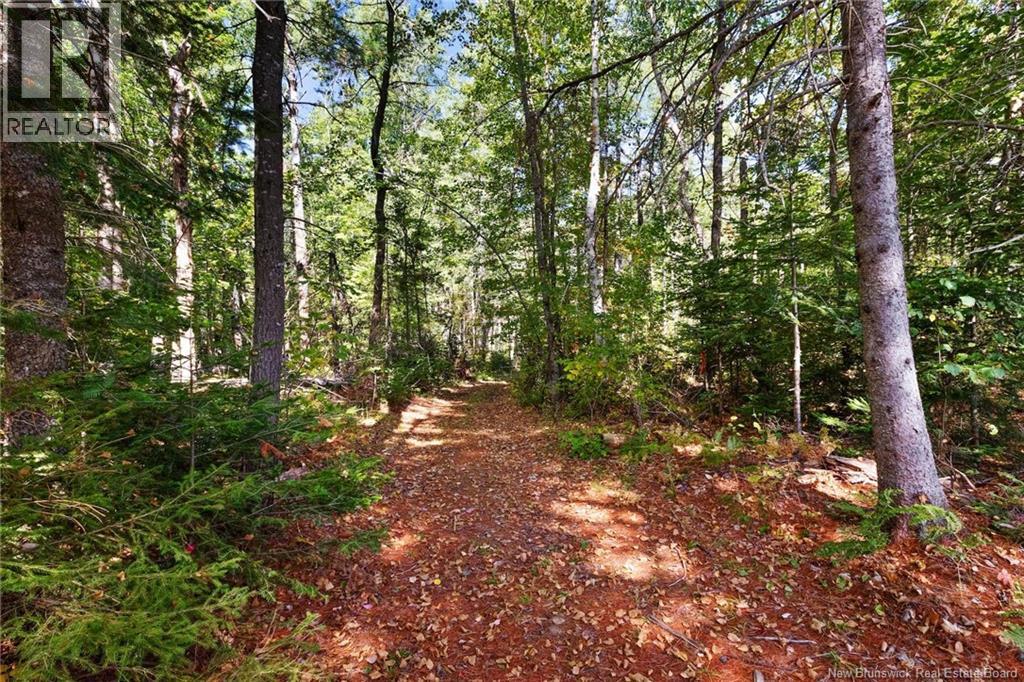 4343 Route 10, New Zion, New Brunswick  E4B 1A7 - Photo 15 - NB127457