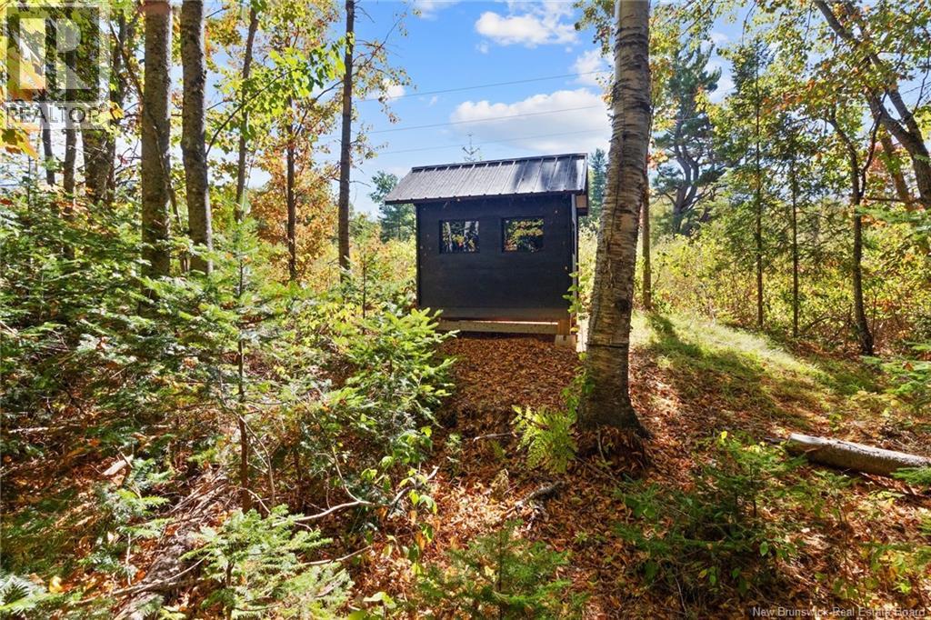 4343 Route 10, New Zion, New Brunswick  E4B 1A7 - Photo 17 - NB127457