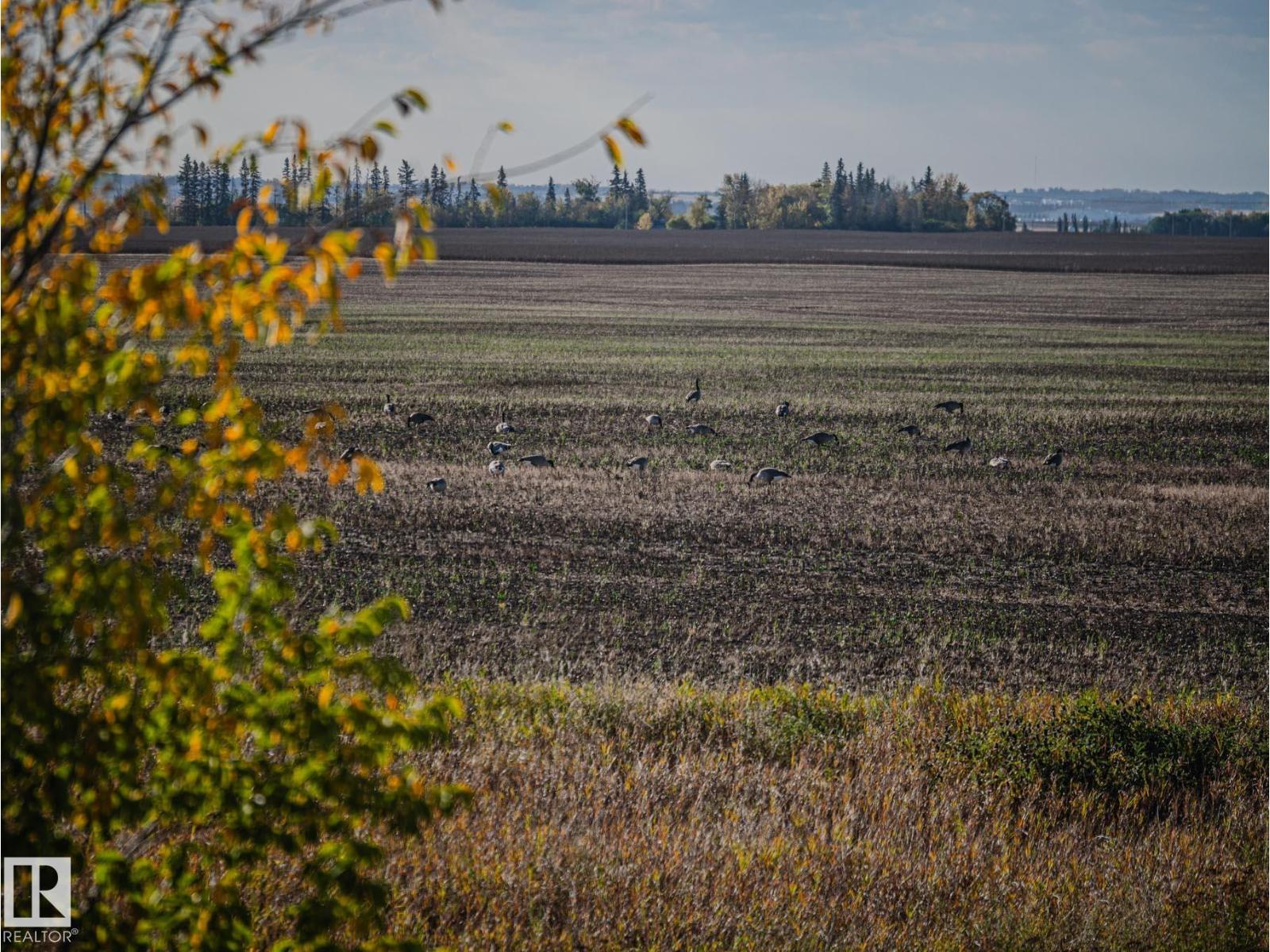261 Westbrook Wd, Fort Saskatchewan, Alberta  T6L 0L4 - Photo 54 - E4459619