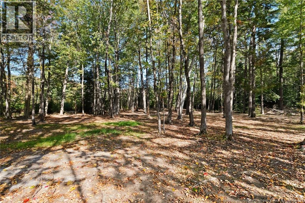 4343 Route 10, New Zion, New Brunswick  E4B 1A7 - Photo 14 - NB127457