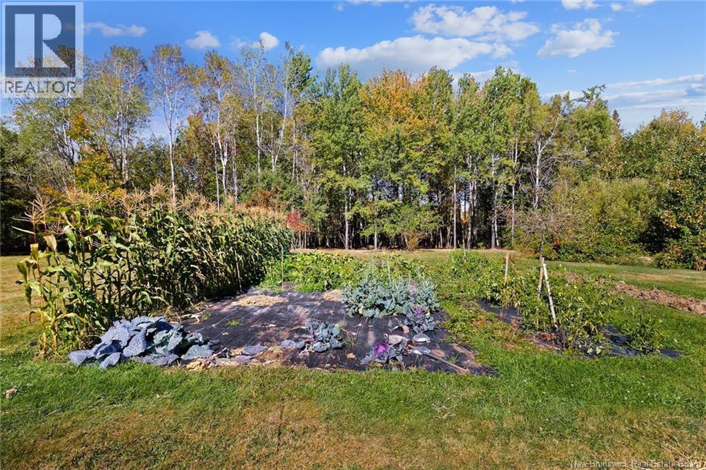 4343 Route 10, New Zion, New Brunswick  E4B 1A7 - Photo 44 - NB127457