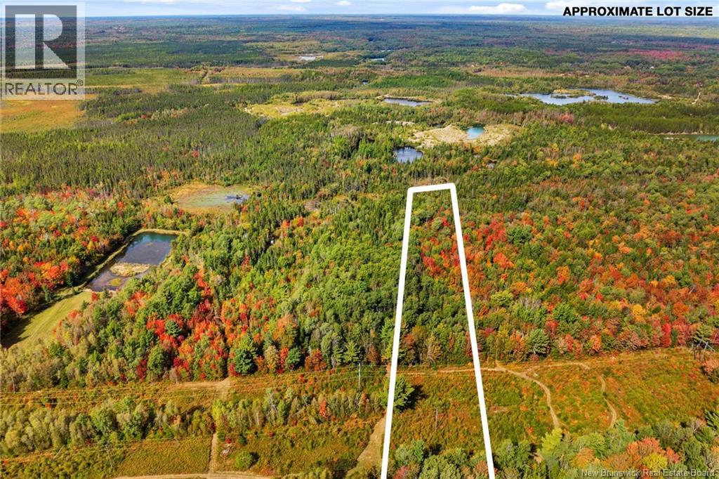 4343 Route 10, New Zion, New Brunswick  E4B 1A7 - Photo 49 - NB127457