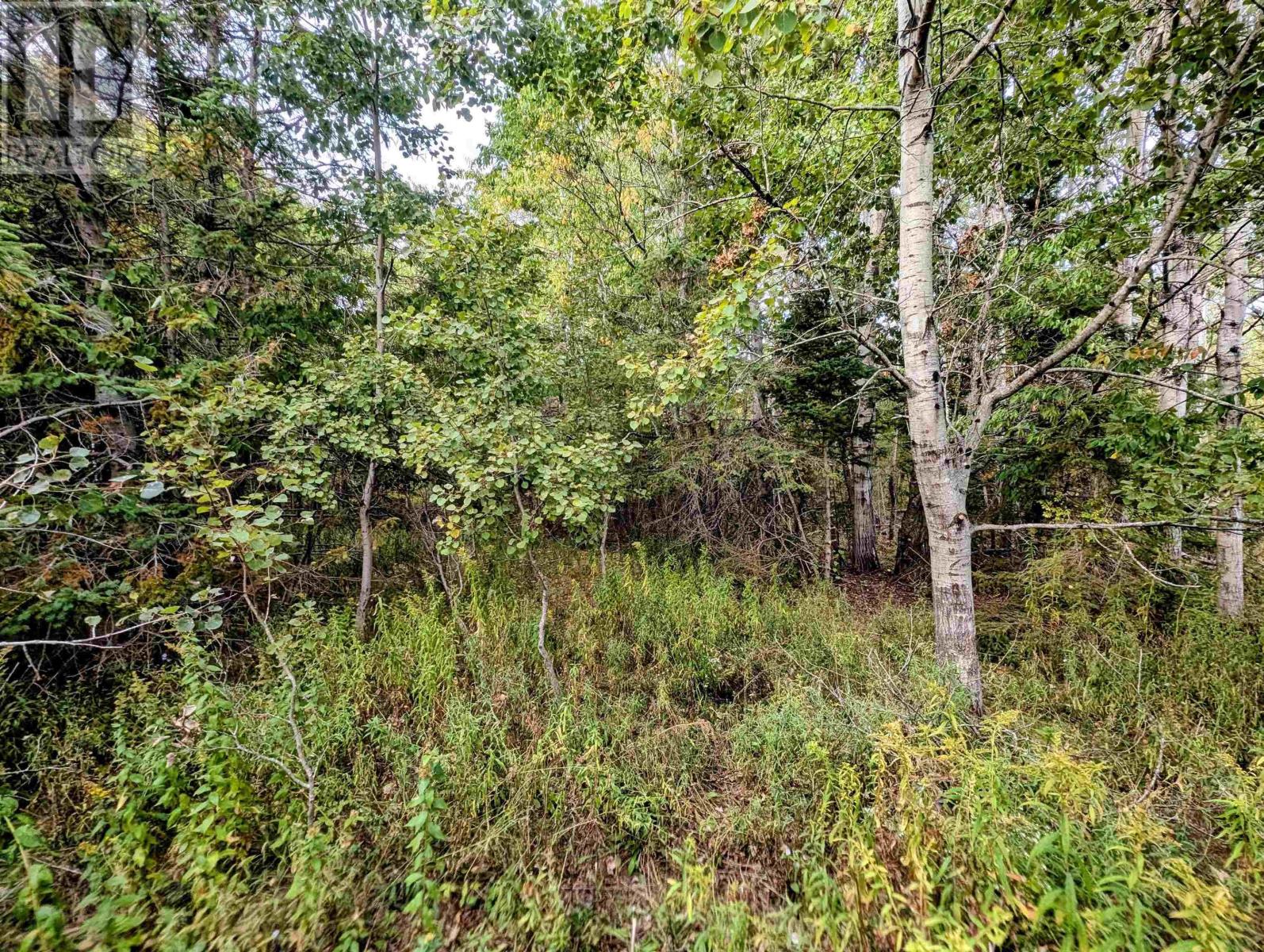 Lot 4 Avon Spirit Lane, Avondale, Nova Scotia  B0N 2A0 - Photo 6 - 202524365