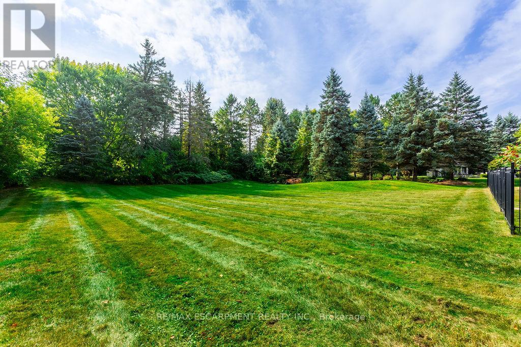 12 Blackberry Place, Hamilton, Ontario  L0R 1H2 - Photo 46 - X12428219
