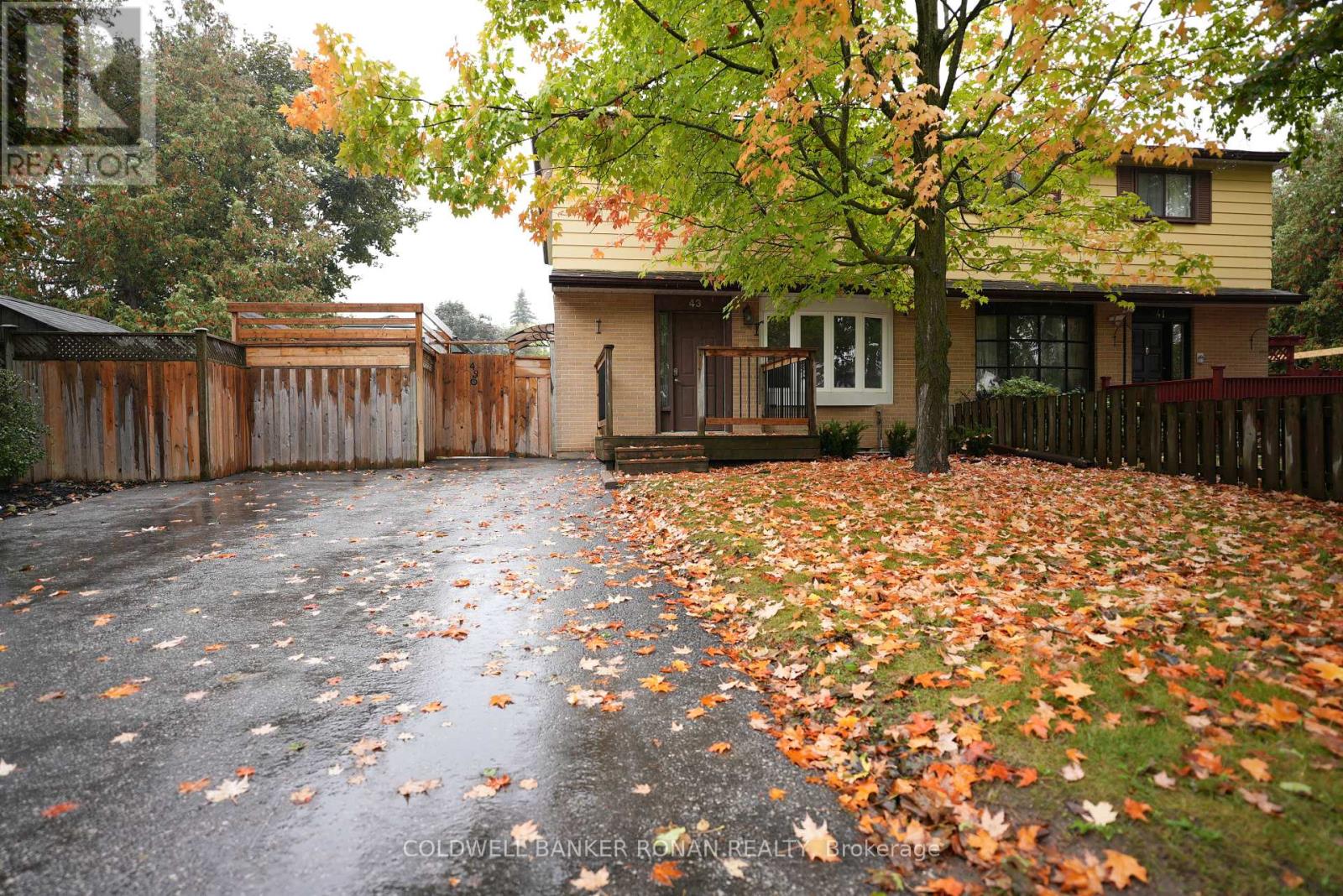 43 Adeline Avenue, New Tecumseth, Ontario  L0G 1W0 - Photo 3 - N12428375