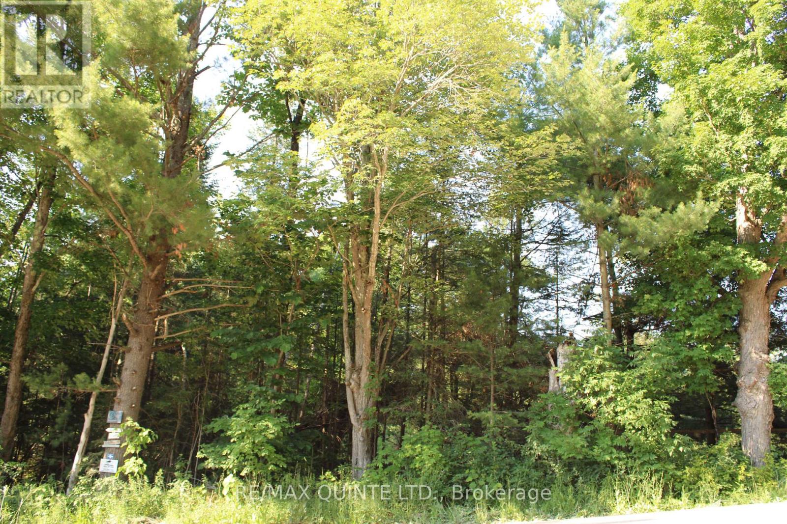494 Twin Sister Lakes Road, Marmora And Lake, Ontario  K0K 2M0 - Photo 2 - X12428503