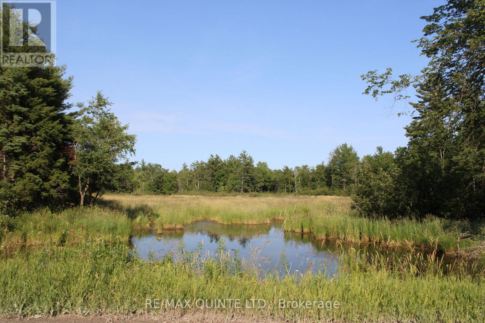 494 Twin Sister Lakes Road, Marmora And Lake, Ontario  K0K 2M0 - Photo 6 - X12428503