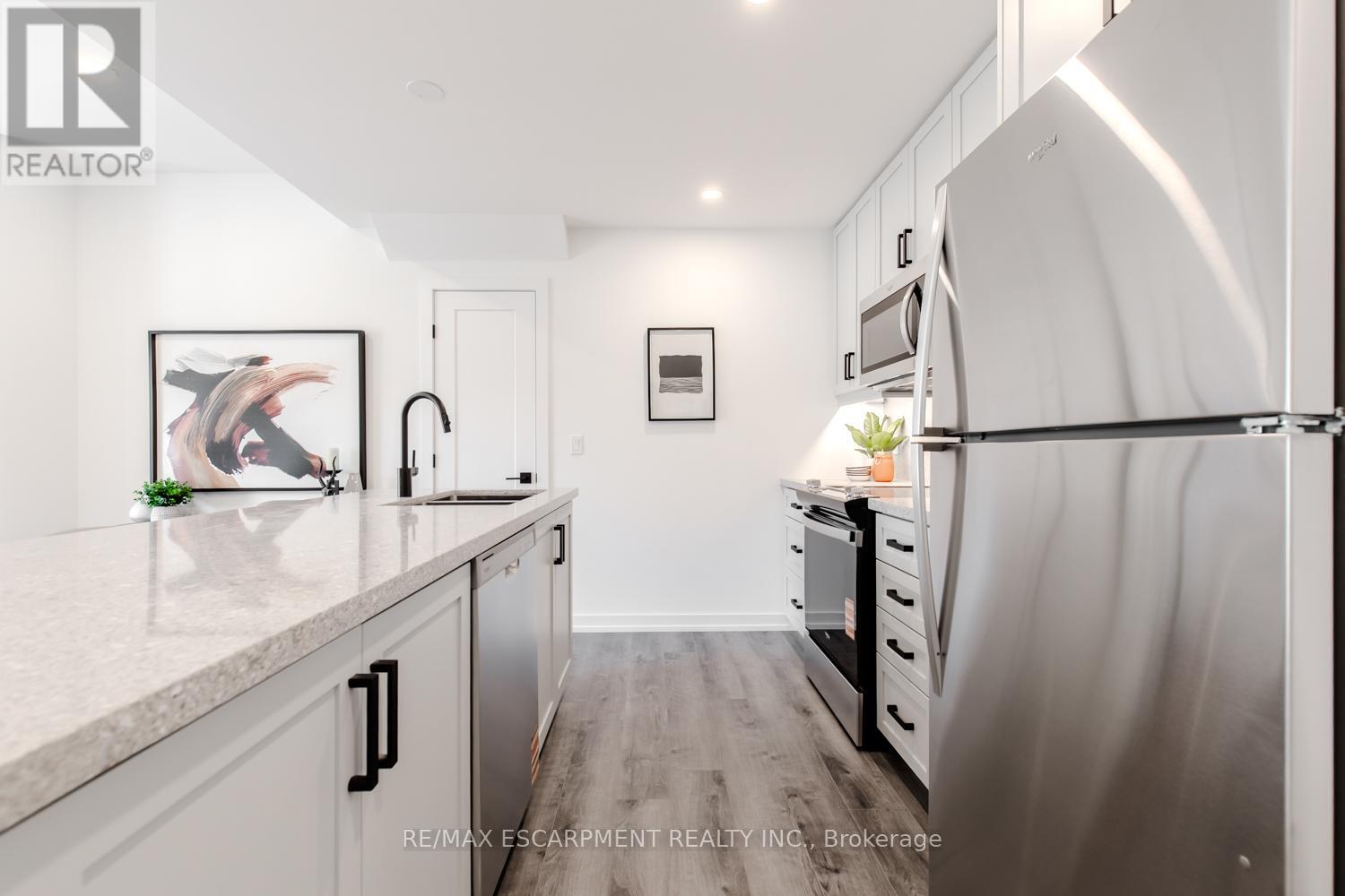 243 Burke Street, Hamilton, Ontario  L0R 2H7 - Photo 13 - X12365710