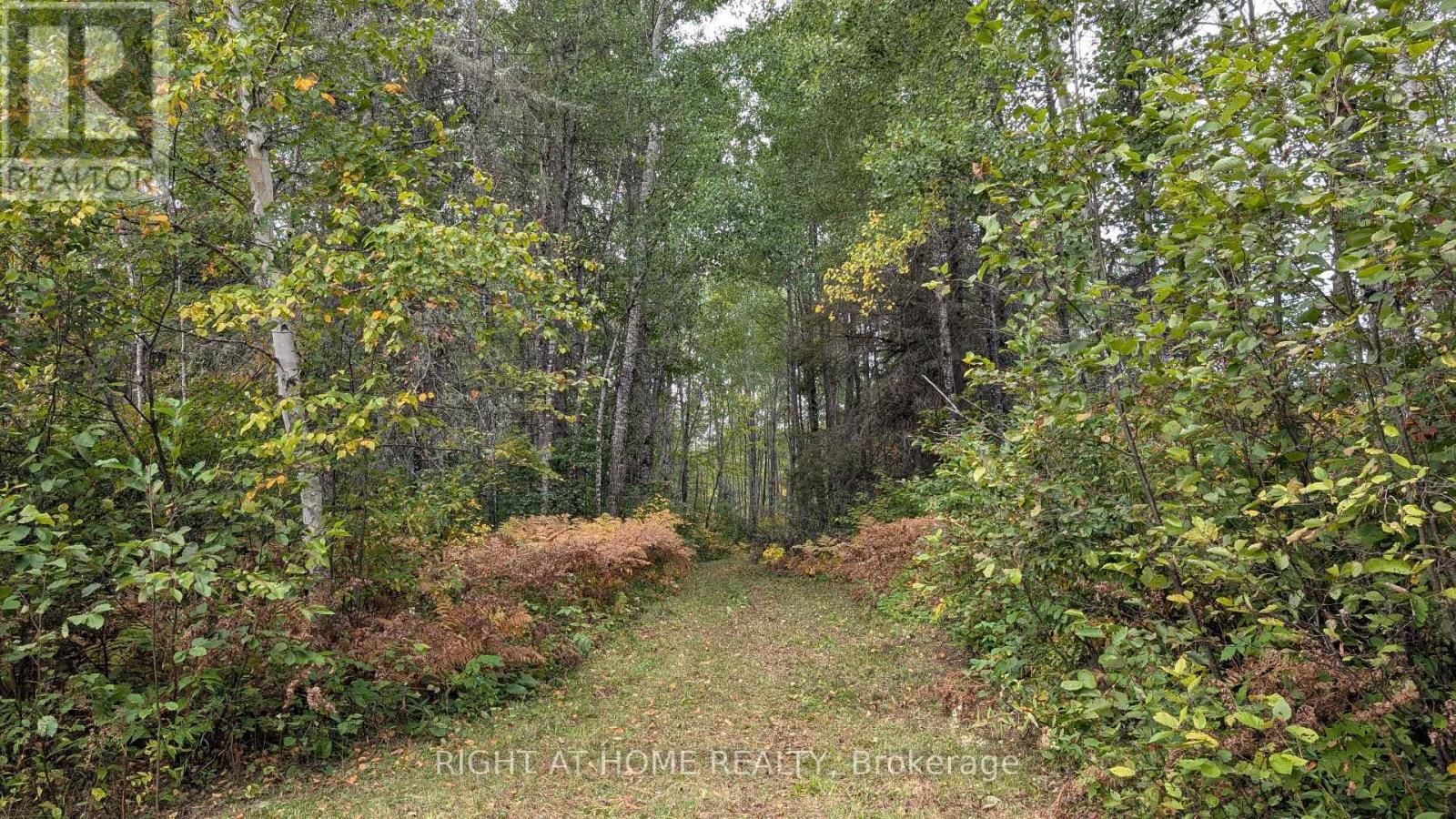 58 Bellefeuille Road S, West Nipissing, Ontario  P0H 1M0 - Photo 18 - X12428419