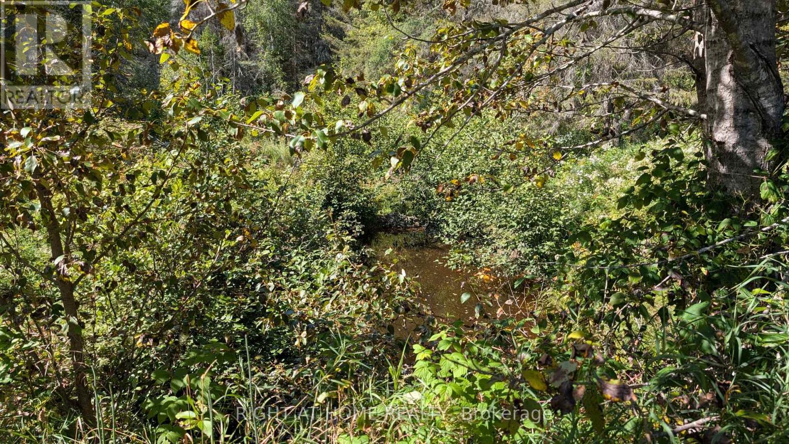 58 Bellefeuille Road S, West Nipissing, Ontario  P0H 1M0 - Photo 30 - X12428419