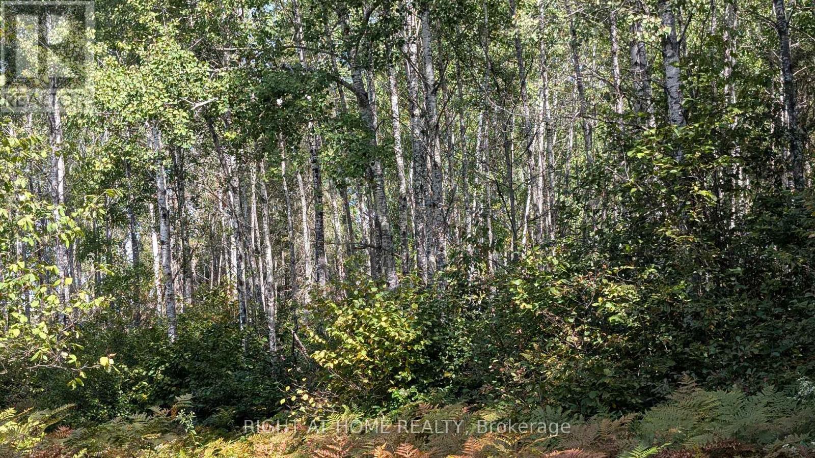 58 Bellefeuille Road S, West Nipissing, Ontario  P0H 1M0 - Photo 32 - X12428419