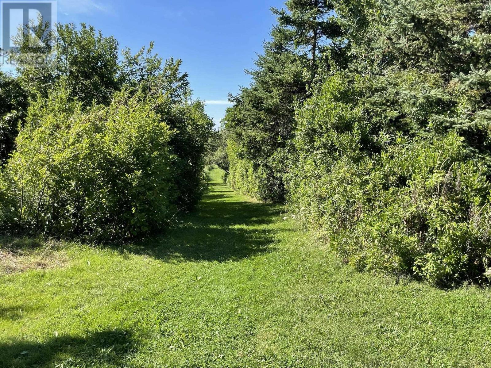 Lot 10 Sunset Drive, Malagash, Nova Scotia  B0K 1E0 - Photo 10 - 202508515