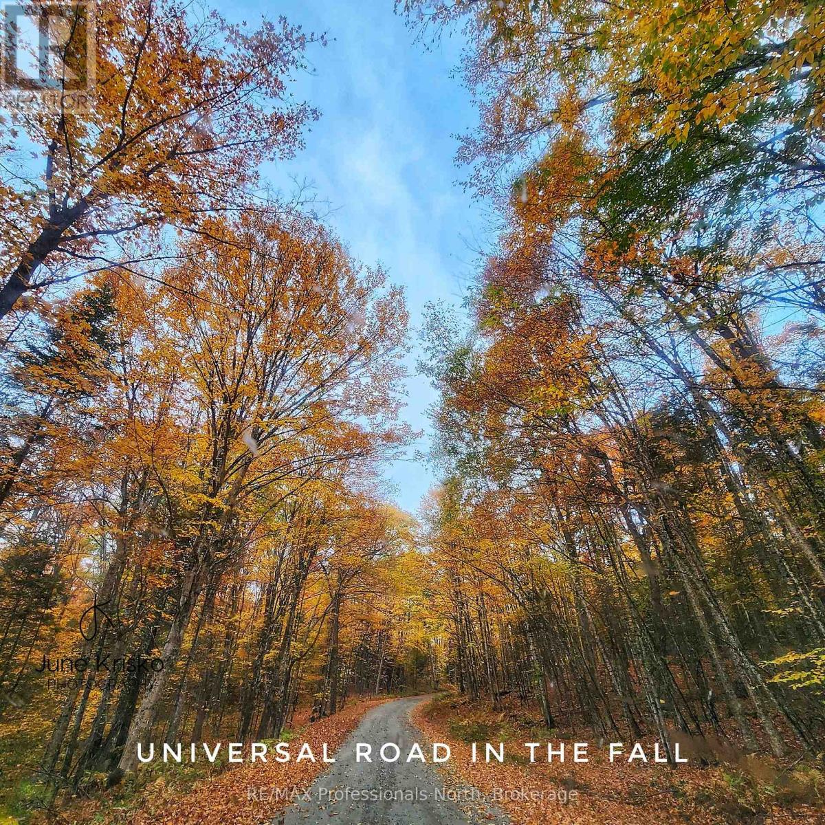 1129 Universal Road, Dysart Et Al, Ontario  K0M 1S0 - Photo 4 - X12423749