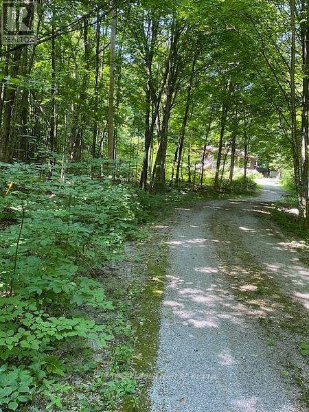 119 Acorn Road, Kawartha Lakes, Ontario  K0M 3L0 - Photo 3 - X12428531