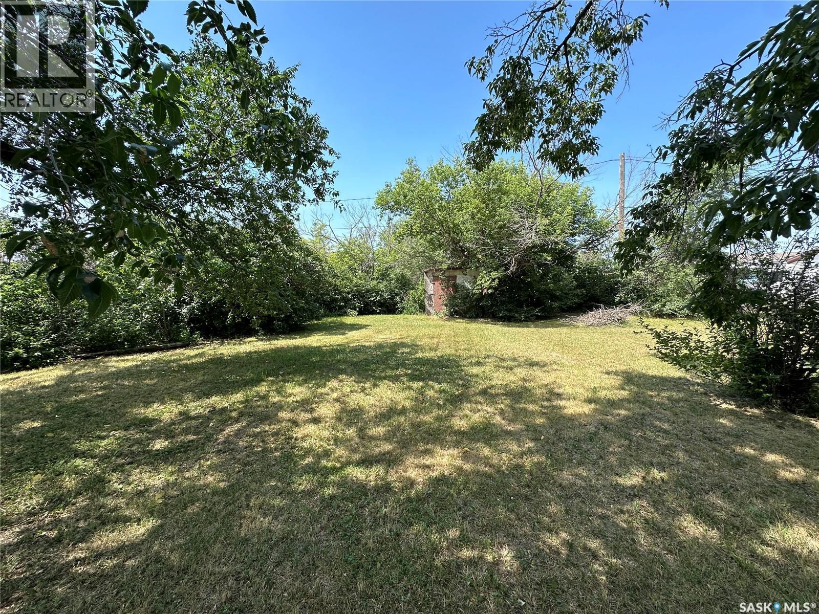 1225 Halifax Street, Halbrite, Saskatchewan  S0C 1H0 - Photo 20 - SK012914
